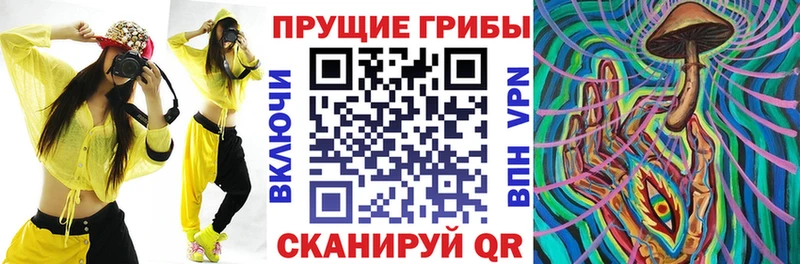 Галлюциногенные грибы мицелий  KRAKEN онион  Губаха 